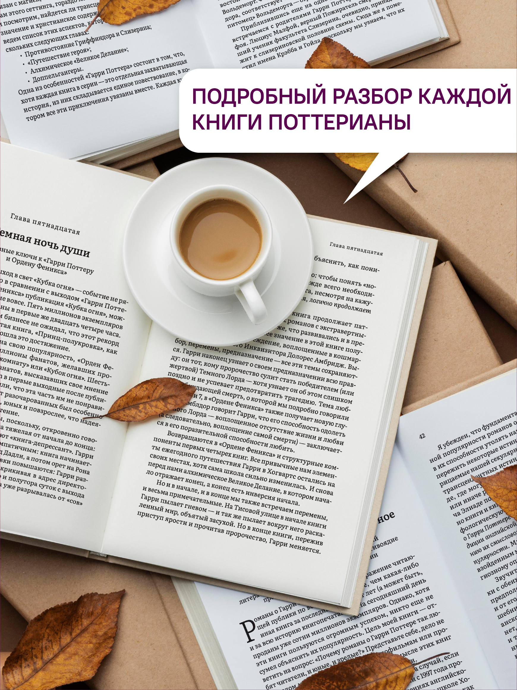 Как Гарри заколдовал мир. Скрытые смыслы произведений Дж.К. Роулинг