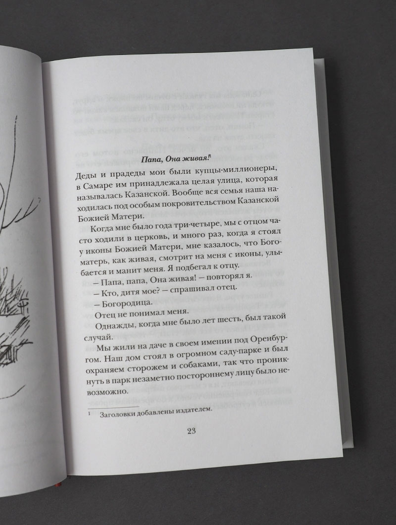 Не бойся, цел твой кораблик. Истории, рассказанные преподобным Варсонофием Оптинским