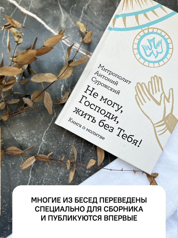 Не могу, Господи, жить без Тебя! Книга о молитве
