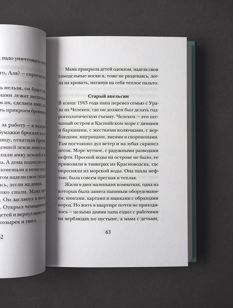 Перейди за Иордан. Судьба сильной женщины на переломе эпох