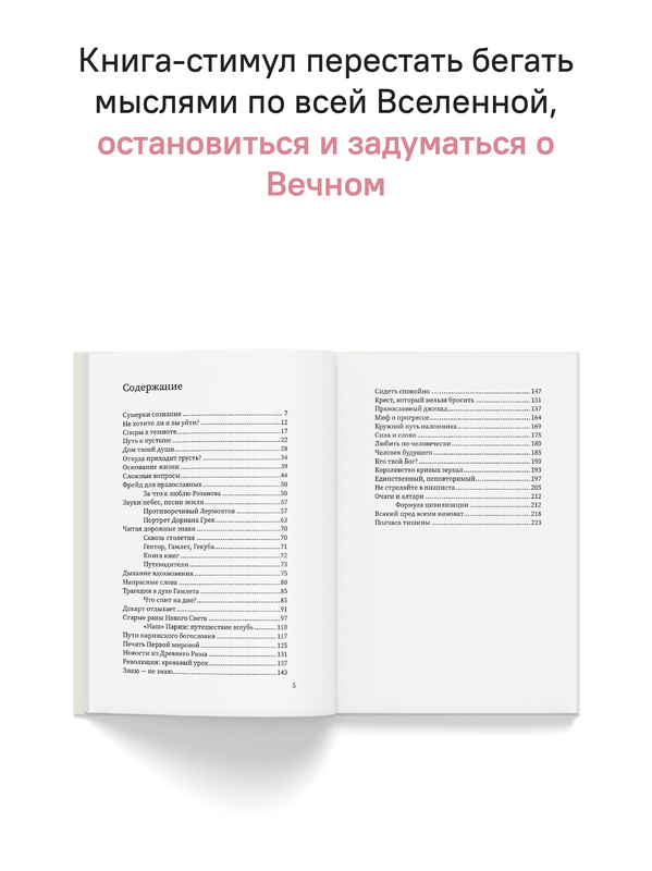 Полчаса тишины. Эссе о Боге, человеке, современной культуре