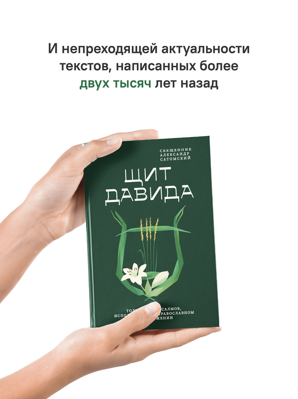 Щит Давида. Толкование псалмов, используемых в православном богослужении