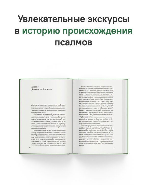 Щит Давида. Толкование псалмов, используемых в православном богослужении