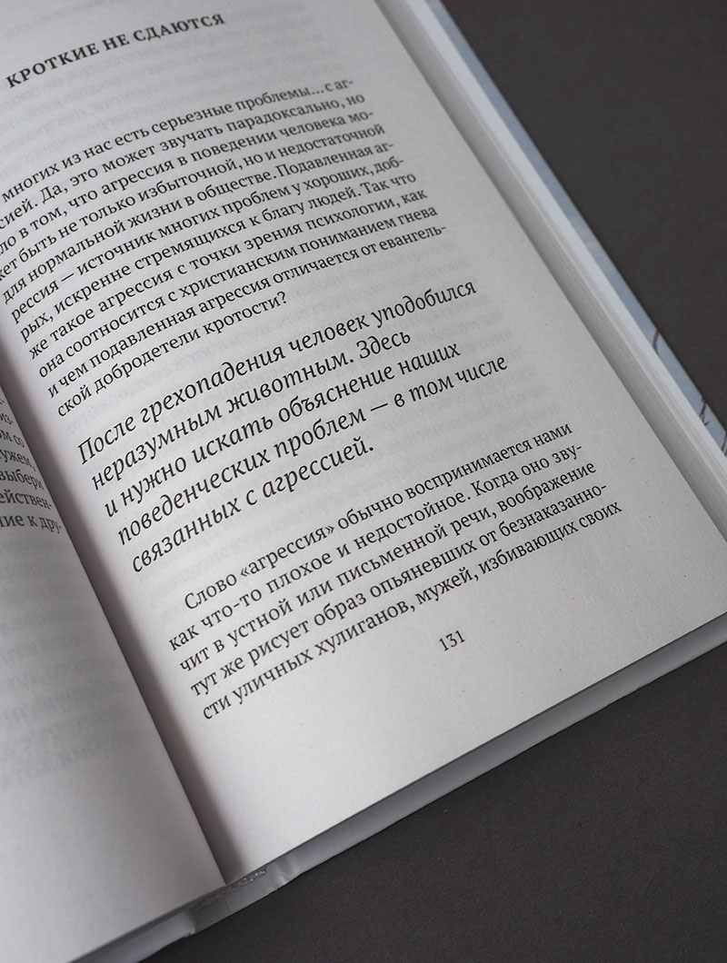 Снежные чувства. Психологические этюды о семейной жизни