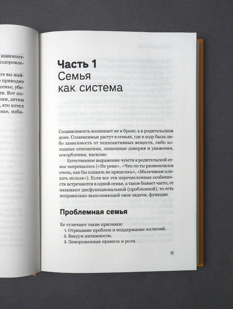 Возвращение к жизни. Как один человек может изменить судьбу семьи