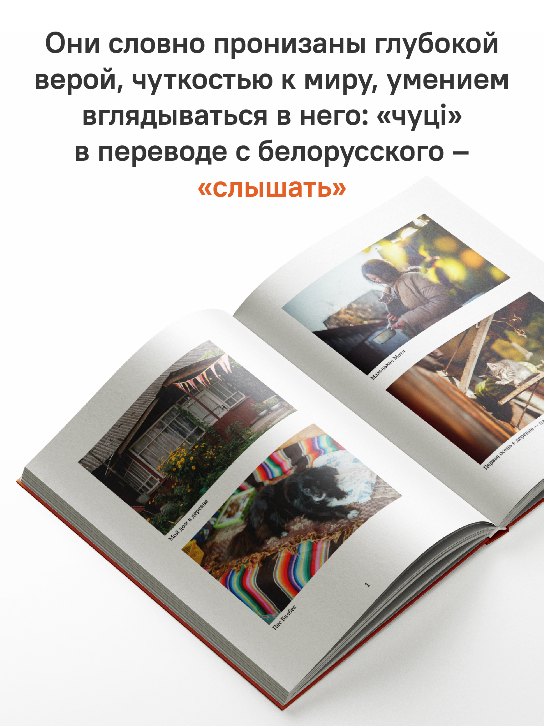 Всё живое живёт любовью. Как найти радость в каждом дне