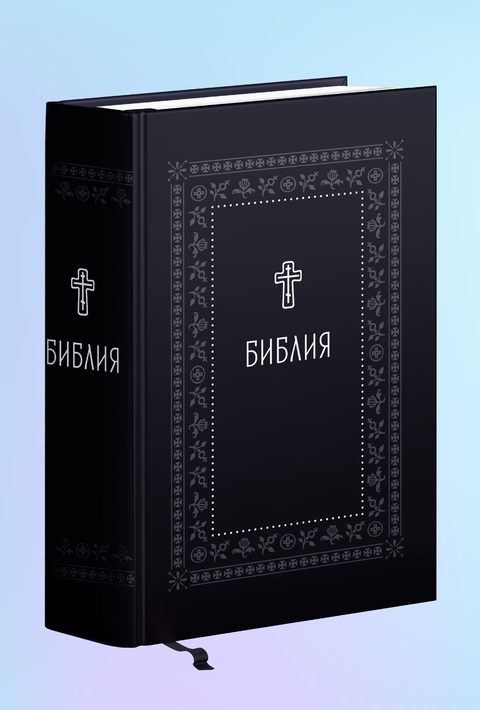 Библия. Книги Священного Писания Ветхого и Нового Завета. Серебряная серия