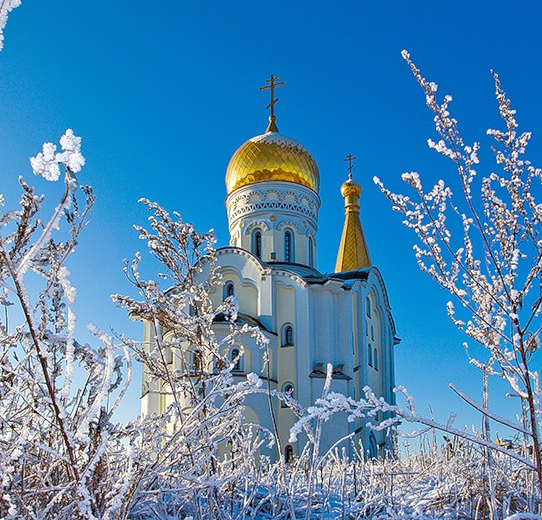 Почему мы торжествуем?