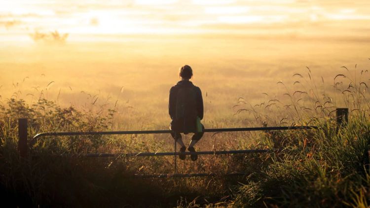 Счастье Счастье