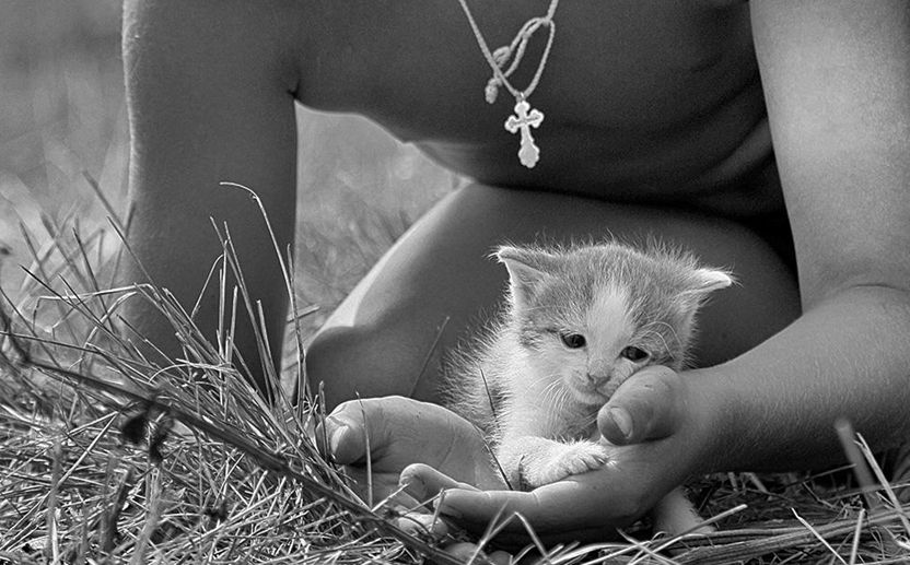 У меня свой сценарий У меня свой сценарий