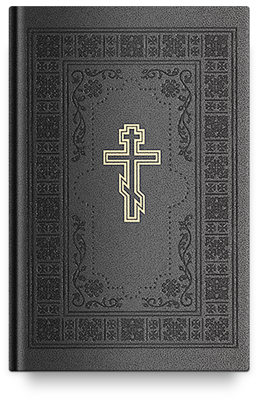 Библия подарочная. Книги Священного Писания Ветхого и Нового Завета с параллельными местами и прилож