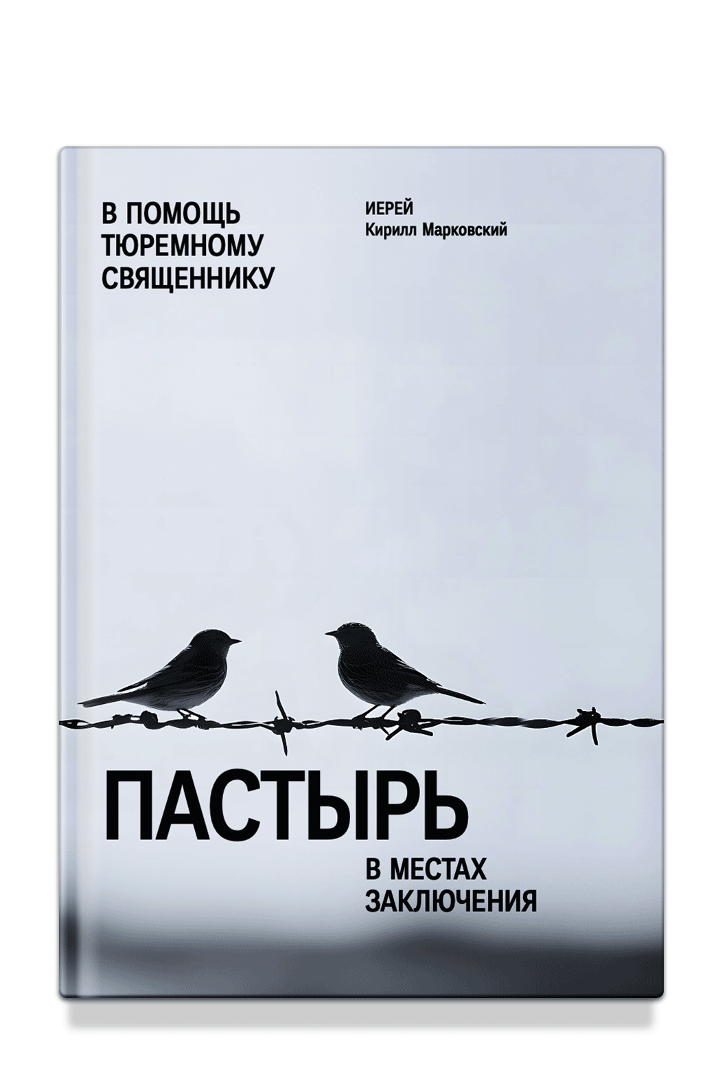 Пастырь в местах заключения. В помощь тюремному священнику