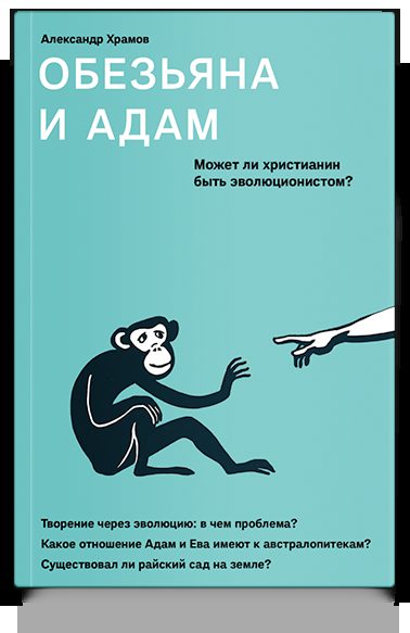 Обезьяна и Адам. Может ли христианин быть эволюционистом?