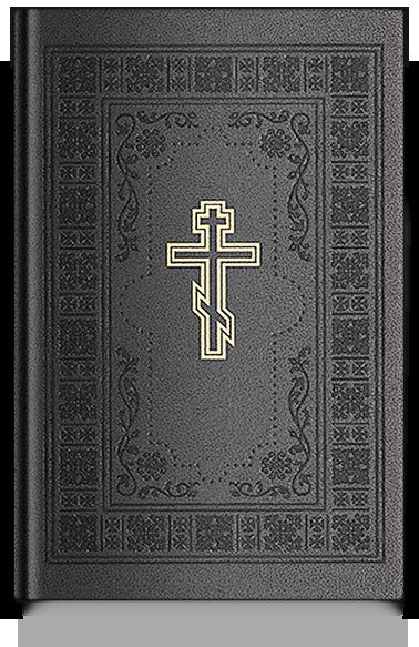 Библия подарочная. Книги Священного Писания Ветхого и Нового Завета с параллельными местами и прилож