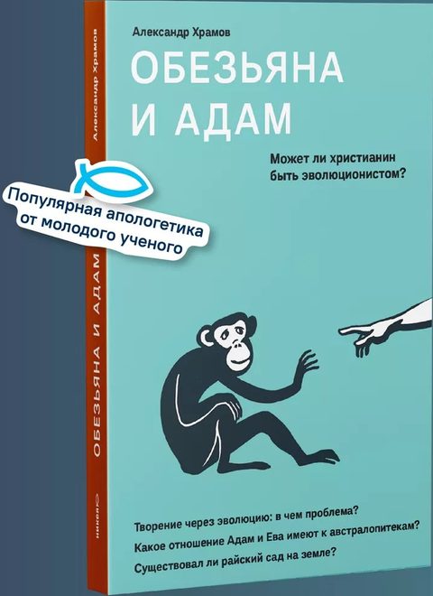 Обезьяна и Адам. Может ли христианин быть эволюционистом?