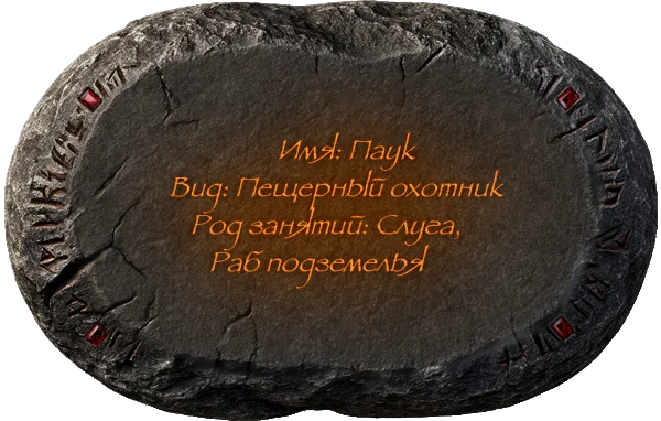 Описание изображения