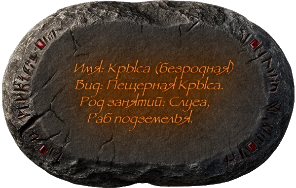 Описание изображения