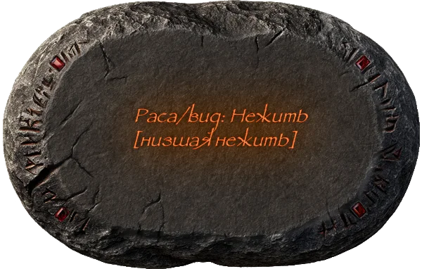 Описание изображения