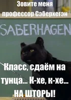 Салем кот Поттера