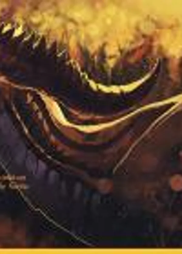 Dragon Age Origins