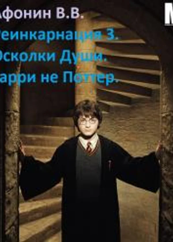 Реинкарнация 3. Осколки Души. Гарри не Поттер.