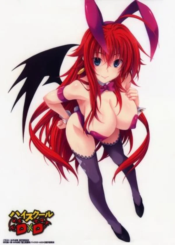 Геройская Академия DxD