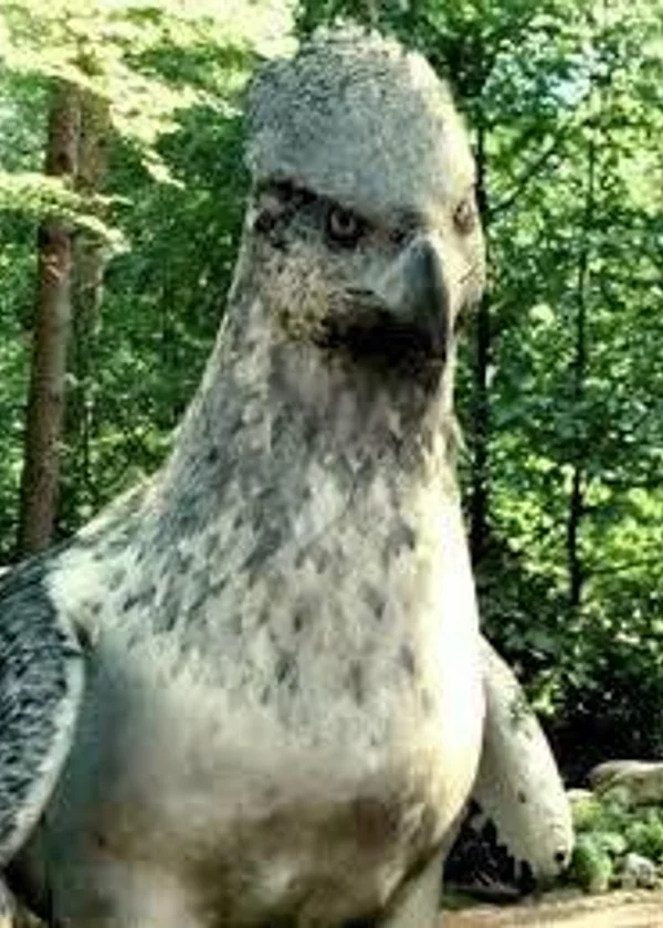 Гарри Поттер Туда и обратно