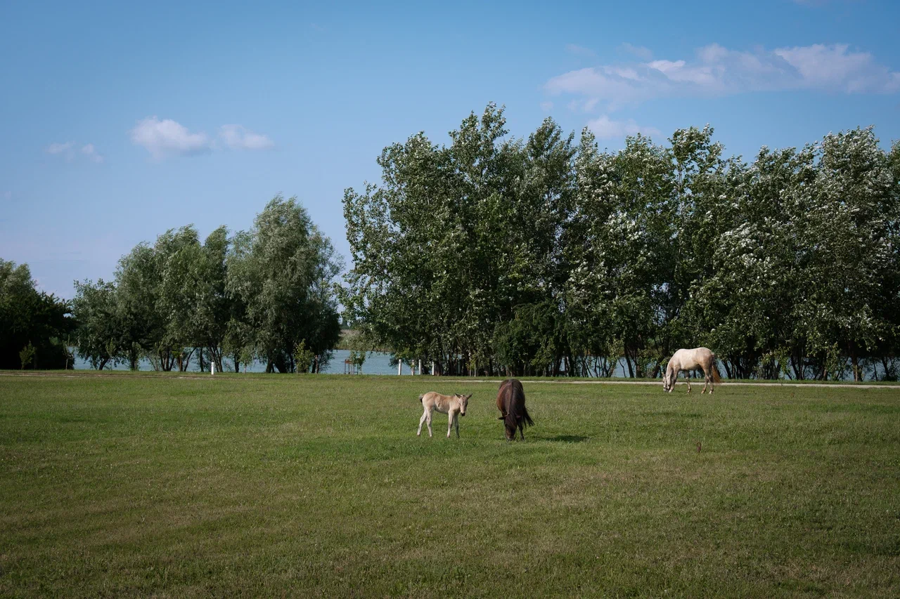Северский рыбхоз — фото 5
