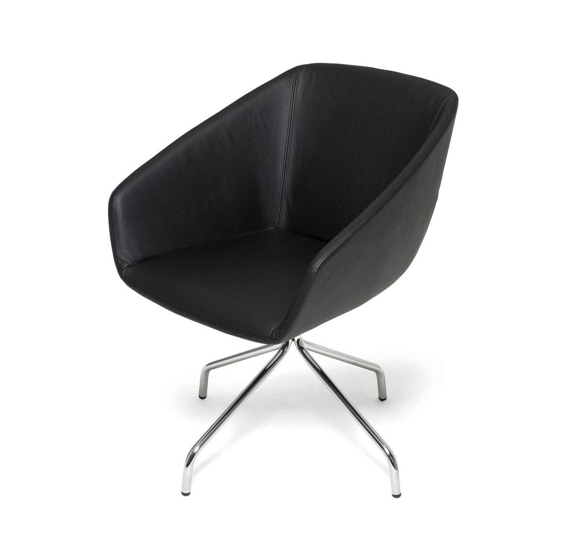 ALMA L3 oak Dakota black