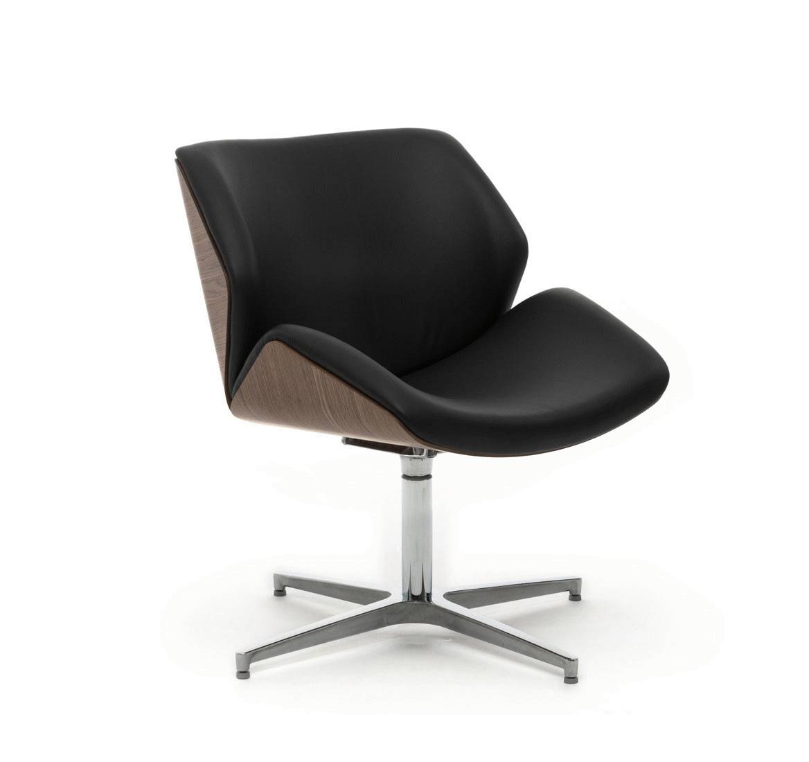 CHARM/B Wood Nut Rio Black
