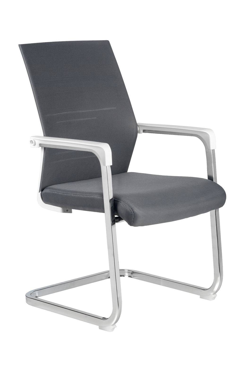 RCH D819