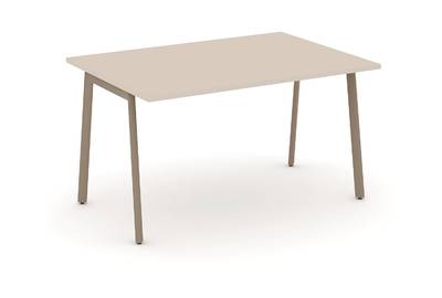 ES.PRG-1.3-P