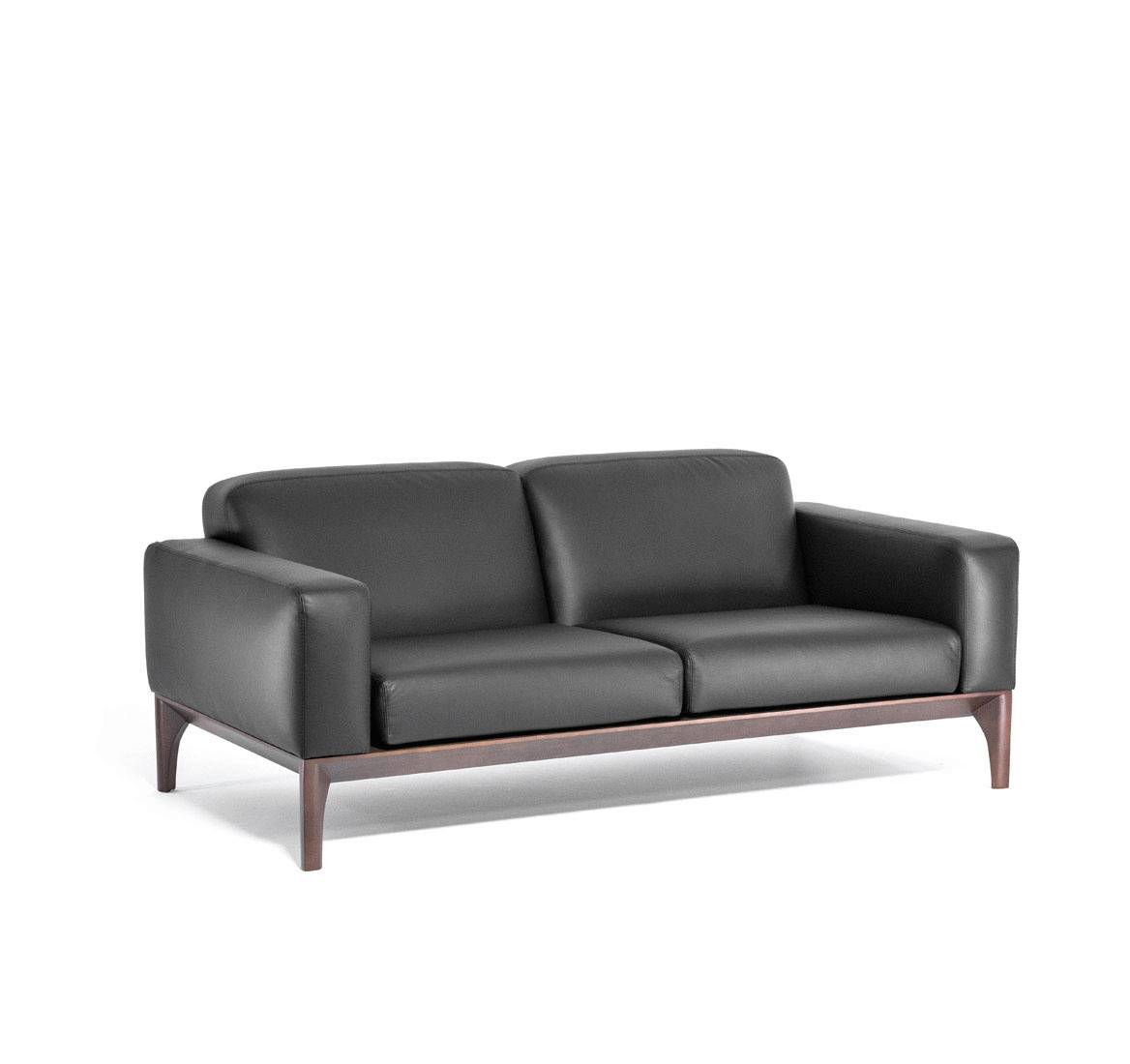 FIOTTO 2 Dakota black Dollaro black tobacco
