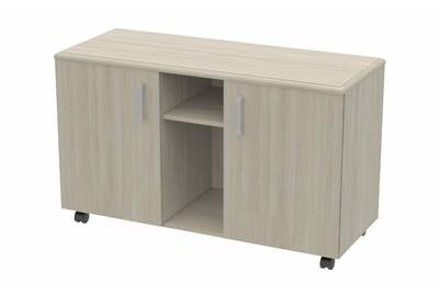 BSN30120002