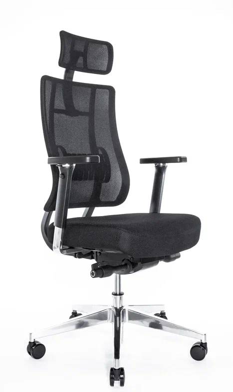 Анатомическое кресло Falto X-Trans (Black)