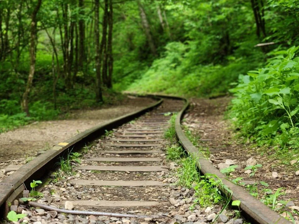 Орлиная полка и Гуамское ущелье