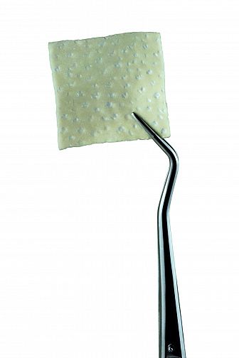 Мембрана OsteoBiol Derma Fine 25х25 мм