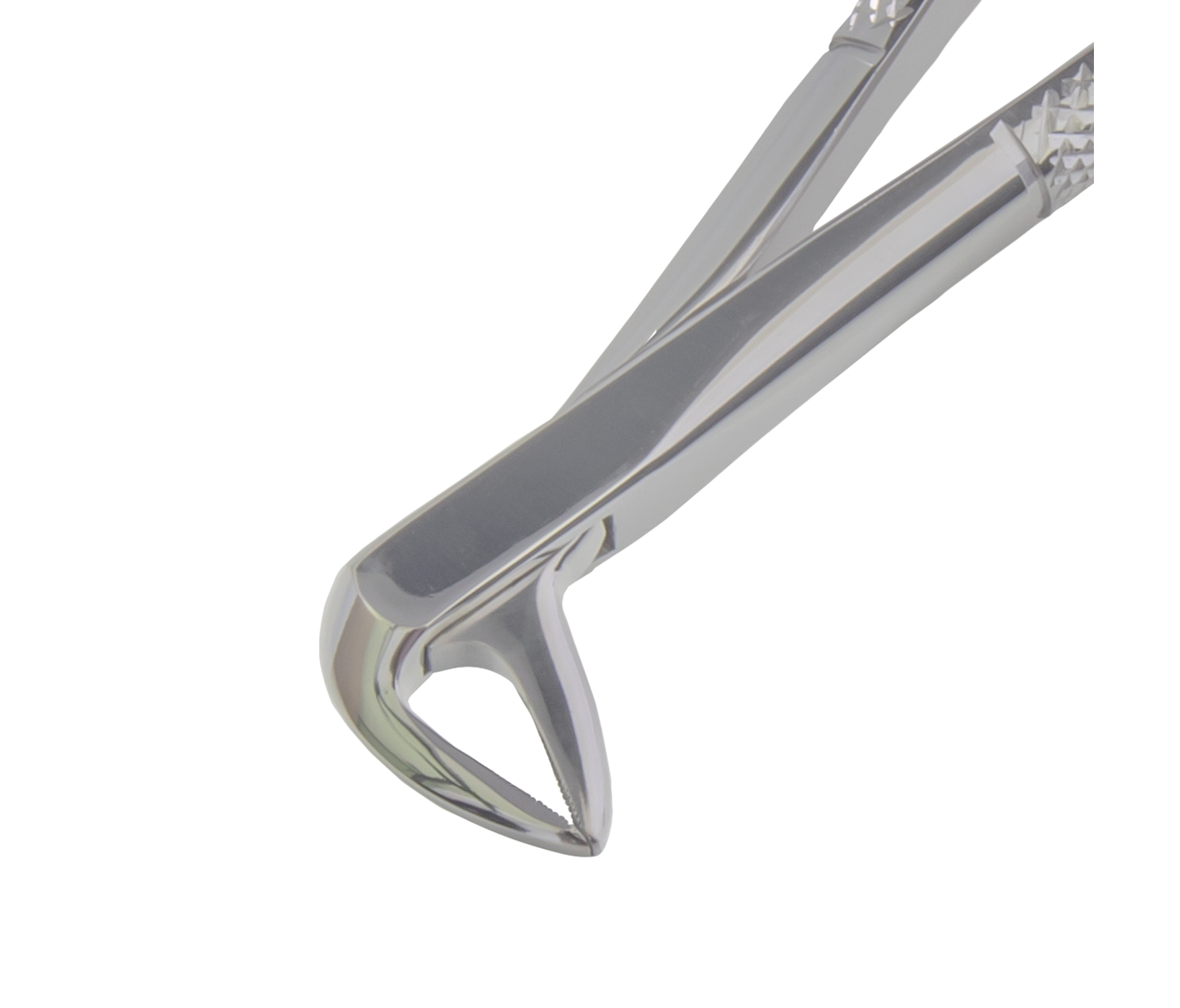 Asa Dental 0100-74 - щипцы N74 для нижних корней с зубчиками