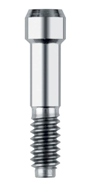 Винт FRIADENT Screw для EstheticBase, размер D3.4-5.5, арт: 46-4305