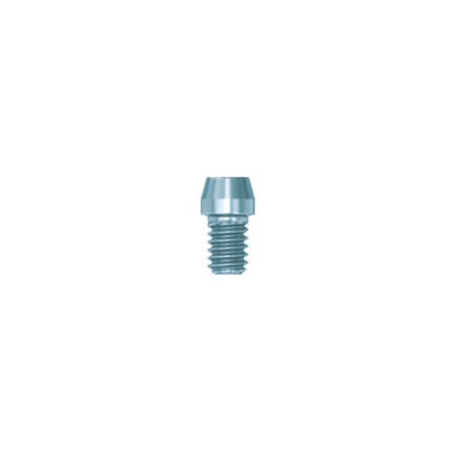 Винт мостовидного протеза EV (Bridge Screw EV), арт: 25481