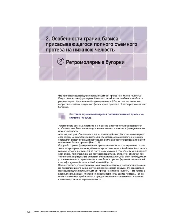 Suction Denture. Идеальное руководство. Автор: Кацуси Сато