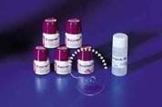 Duceram Plus модификатор в отдельных упаковках Modifier: Mango 20 г, арт: 5361055063