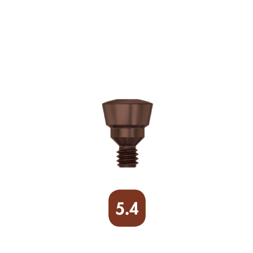 Винт-заглушка EV 5.4 (Cover Screw EV 5.4), арт: 25284