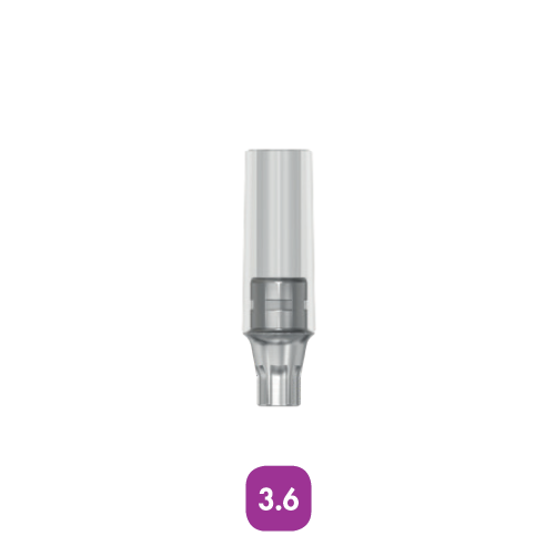 Абатмент литьевой CastDesign EV 3.6 (CastDesign EV 3.6), арт: 25326