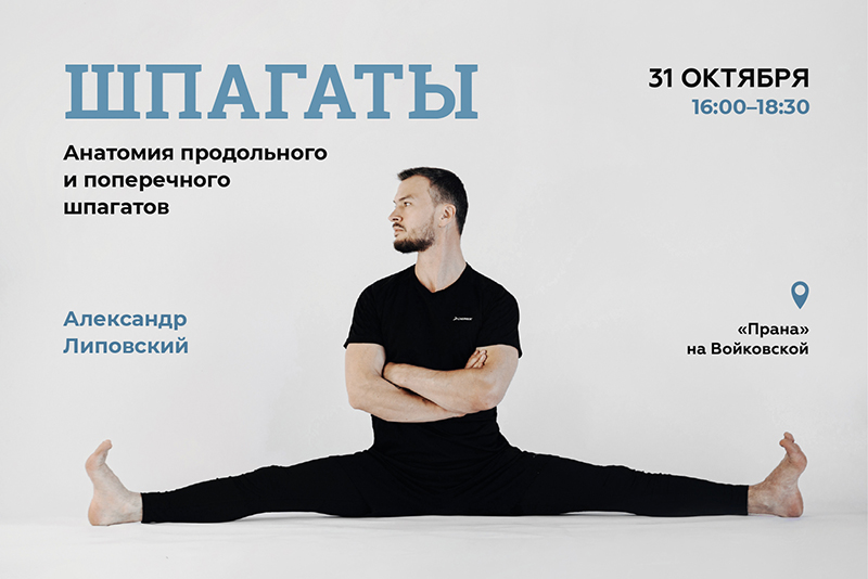 Анатомия продольного и поперечного шпагатов