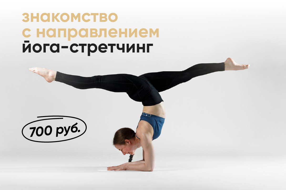 Знакомство с направлением
