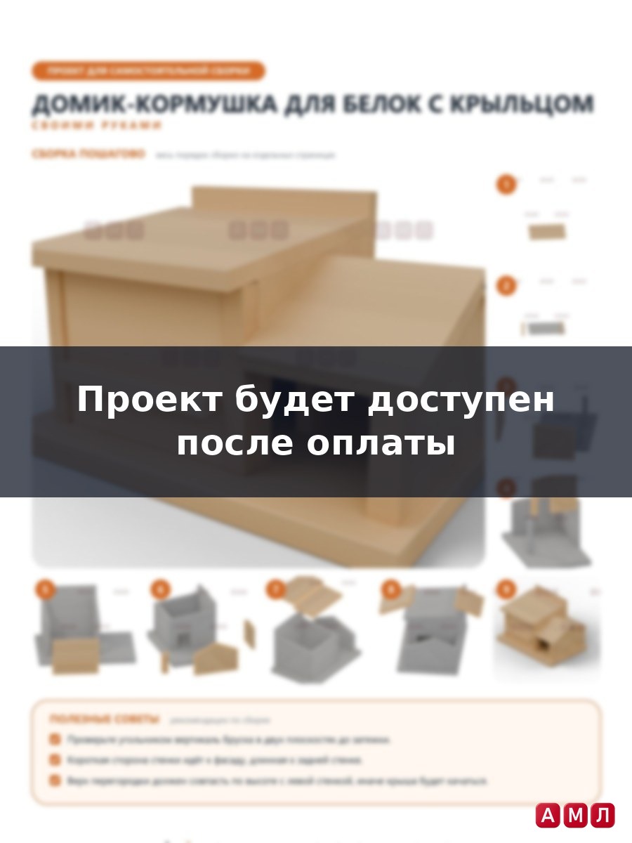 Проект чертеж уличная домик кормушка для белок деревянная зимой