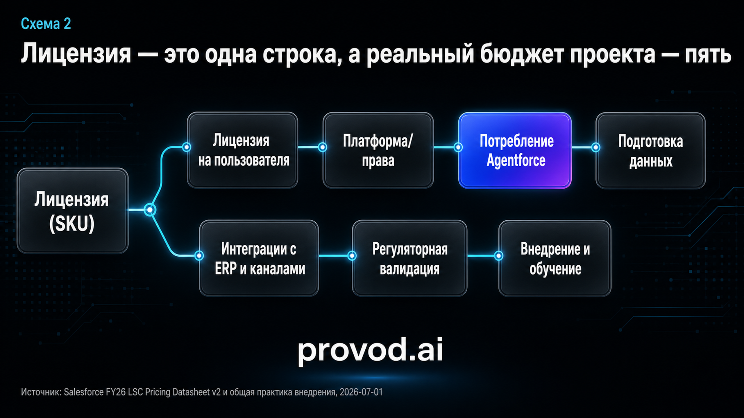 Карта статей затрат вокруг лицензии: данные, интеграции, валидация, внедрение