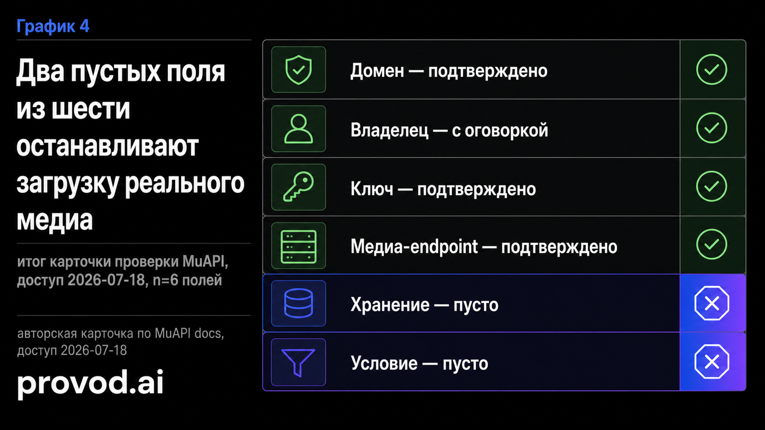 Матрица из шести полей карточки MuAPI: четыре подтверждены, а поля хранение и условие остаются пустыми