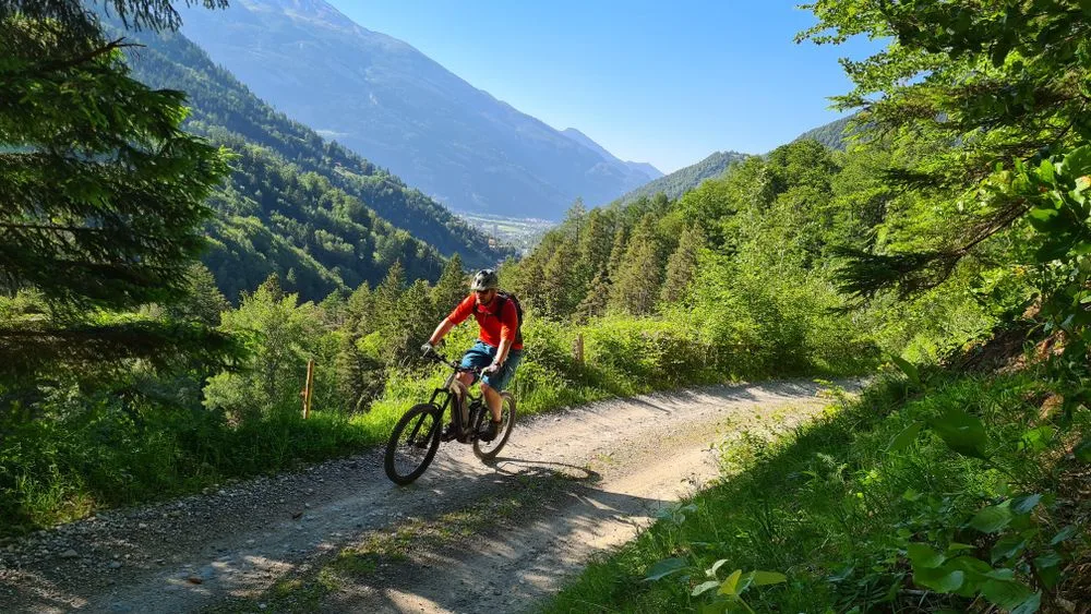 MTB-statya1